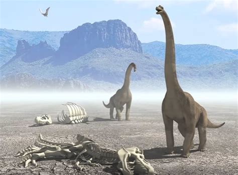 Científicos británicos, aseguran que el meteoríto que impactó en yucatán y exterminó a los dinosaurios, dejó otras consecuencias. ¿Sabías que el meteorito que acabó con los dinosaurios ...