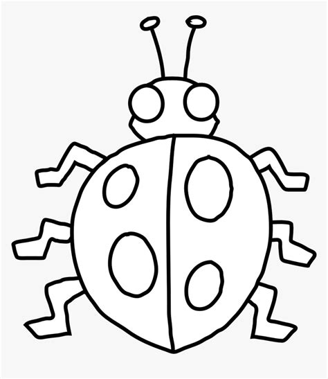Ladybug Outline Clipart Bug Clipart Black And White Hd Png Download