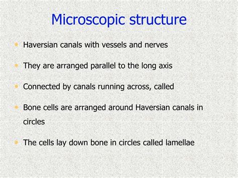 Ppt Structure Of Bone And Cartilage Powerpoint Presentation Free