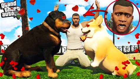 Franklins Dog Chop Has A Girlfriend In Gta 5 Youtube