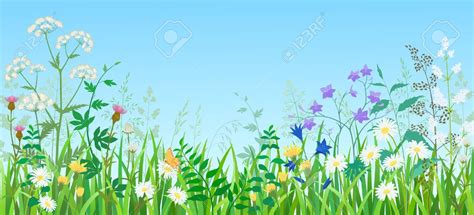 Summer Meadow Flower Clipart 20 Free Cliparts Download Images On