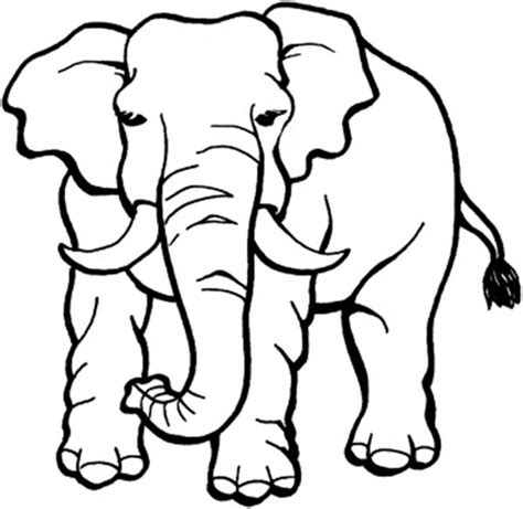 Wer macht denn da so schöne seifenblasen? Big Male Elephant Coloring Page - NetArt