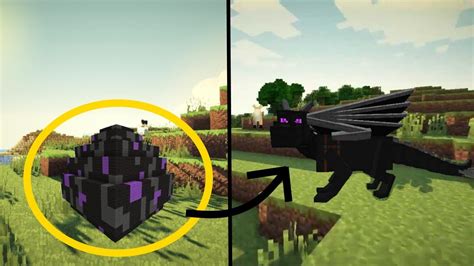 Killing the ender dragon in minecraft is a major achievement, but some people need something to show for it. How To Hatch the Ender Dragon Egg in Minecraft - YouTube