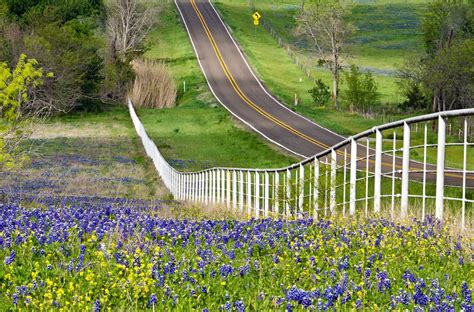 Best Scenic Drives Through Texas Hill Country Peach Tree Inn And Suites