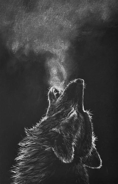 Learn how to draw black and white wolf pictures using these outlines or print just for coloring. white-charcoal-drawing-black-paper-wolf - Pencils Sketches