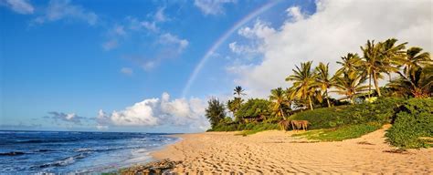 Lanikai Beach Is One Of Oahus Most Stunning Secrets Hawaii Beach Homes