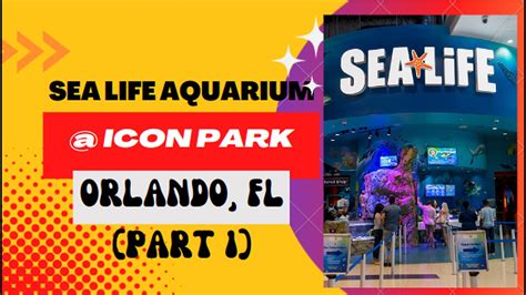 Places To Go Sea Life Aquarium At Icon Park In Orlando Fl Part 1