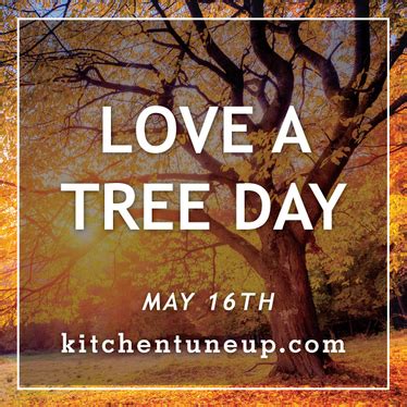 Check spelling or type a new query. National Love a Tree Day | Kitchen Tune-Up Franchise