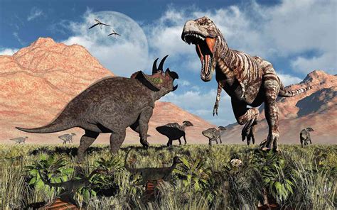 Tyrannosaurus Rex Vs Triceratops In A Dinosaur Fight