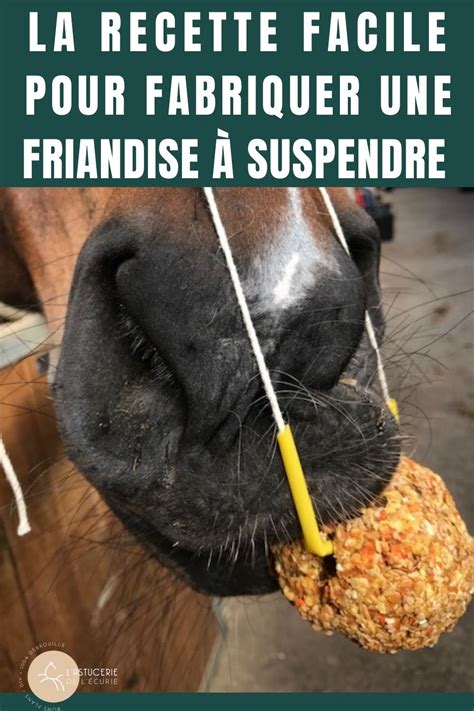 Notre sélection de livre sport sur notre librairie en ligne cultura.com. Votre cheval va adorer cette friandise DIY ! en 2020 ...