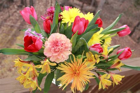 Flower Bouquet Stock Photo Image Of Beautiful Luscious 51693206