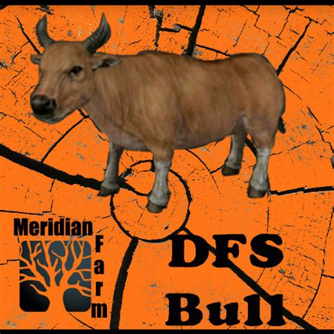 Second Life Marketplace Dfs Bull Texture