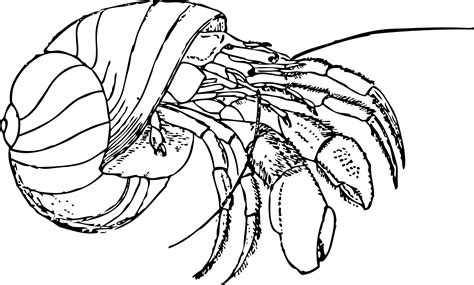 You can print or color them online at getdrawings.com for absolutely free. Clipart Panda - Free Clipart Images