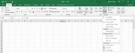 Excel 2019 Formatting Numbers And Labels Dummies