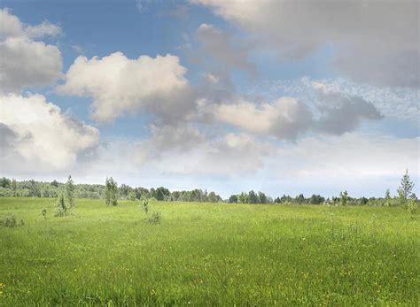 Sunny Meadow By Pobytov