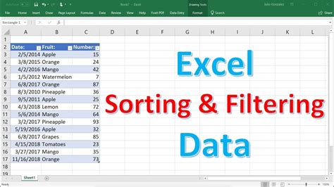 How A Filter Works In Excel Spreadsheets Riset