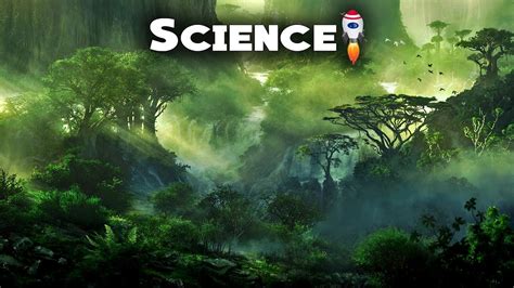 Nature Explore Nature Of Science Science Documentary Hd Youtube