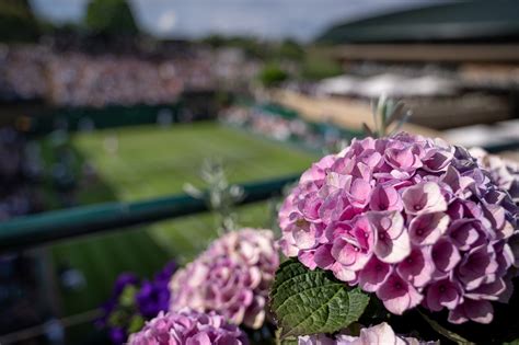 Second Look Outtakes From Day 3 The Championships Wimbledon