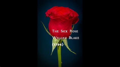 The Sick Rose William Blake Audiopoem Youtube