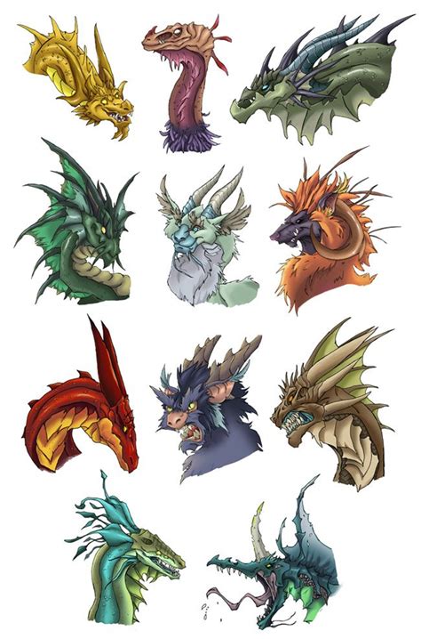 Dragon Heads 1 By Nythus Dragon Artwork Dragon Sketch Dragon Drawing