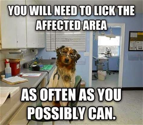 Funny Quotes About Veterinarians Quotesgram