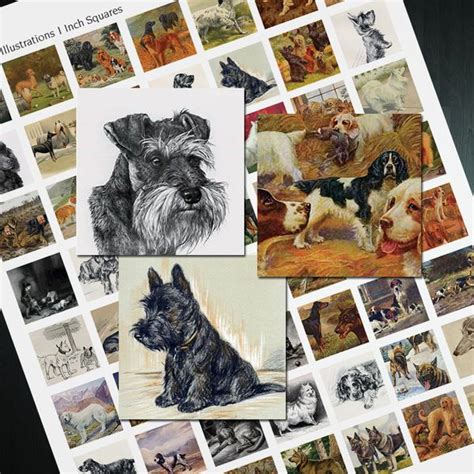 No21 Vintage Dog Illustrations 1 Inch Square Tiles Digital Collage