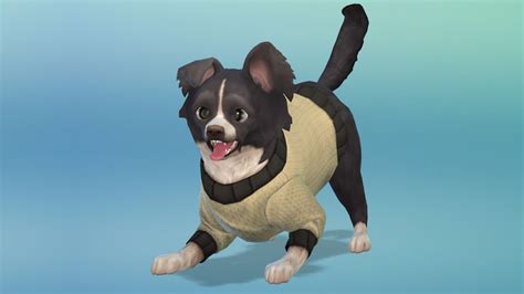 The Sims 4 Cats And Dogs Spcai Challenge Week Three Simsvip