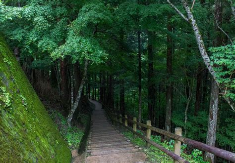 Shikoku Pilgrimage Trail Shikoku 88 Temple Tour Macs Adventure