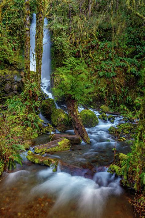 Merriman Falls 22 Lake Quinault Photograph By Mike Penney Fine Art