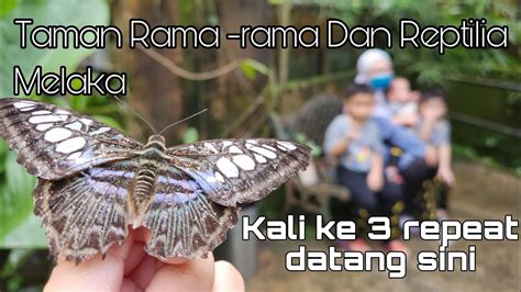 Full Tour Taman Rama Rama Dan Reptilia Melaka Melaka Butterfly And