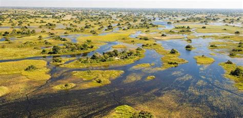 Okavango Delta Tailormade Africa