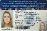 Aaa European Drivers License