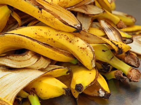 Can You Eat Banana Peels Cooking School Food Network