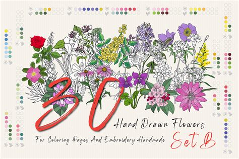 30 Hand Drawn Flowers Set B Graphic By Hanatist Studio · Creative Fabrica