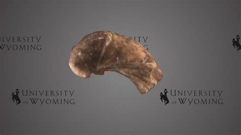 Uw A2858c Download Free 3d Model By University Of Wyoming Libraries Uwlibraries 3e40573