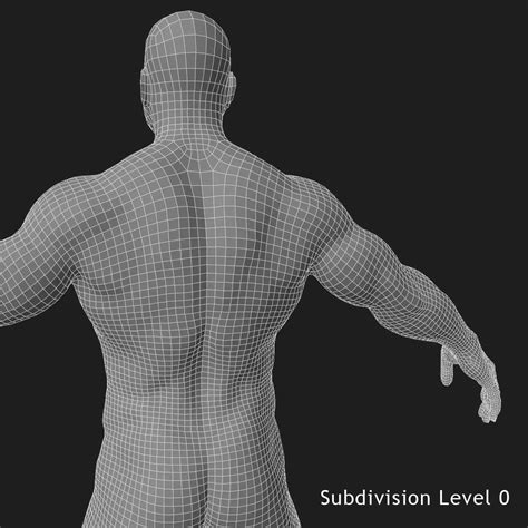 Male Base Mesh 3d Model By Dcbittorf