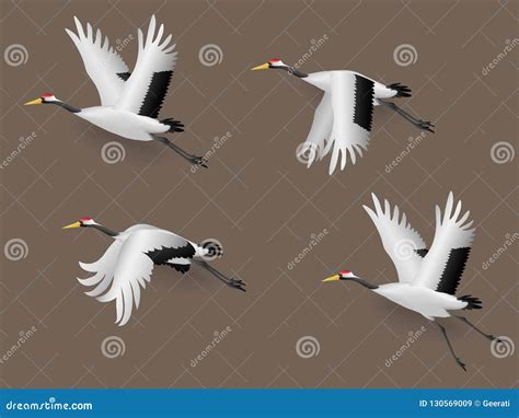 Set Of Illustration Japanese Crane Birds Flying Stock Vector