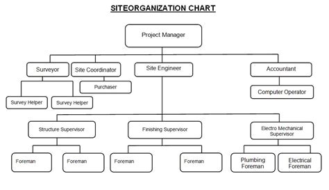 Construction Project Organization Chart Project Organization Essay