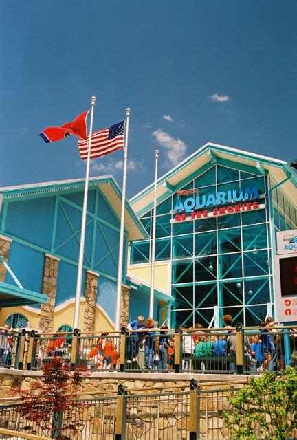 To rent a cabin in pigeon forge, you'll pay from as little as $99 per night. Discounted Pigeon Forge Attraction Tickets Revealed by ...