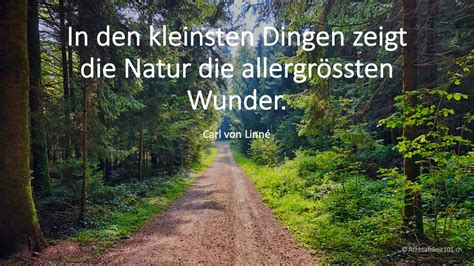 Maybe you would like to learn more about one of these? Zitate Natur Ruhe | Leben Zitate