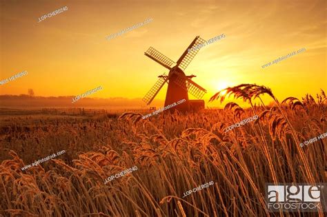 England Suffolk Herringfleet A Misty Sunrise Over Hoar Frosted Reeds