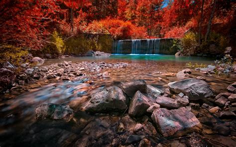 Wallpaper Trees Landscape Colorful Forest Leaves Waterfall Rock