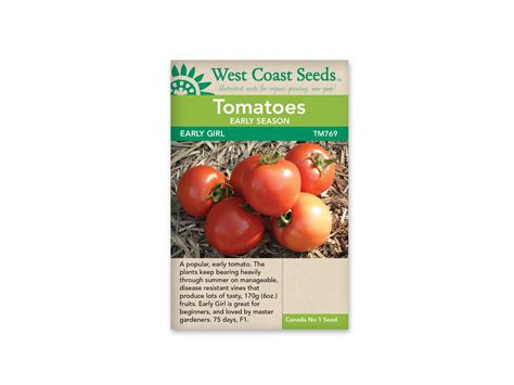 Early Season Tomato Early Girl West Coast Blue Grass Nursery Sod