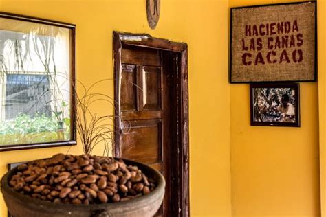 Turismo De Cacao Y Chocolate Desde Guayaquil