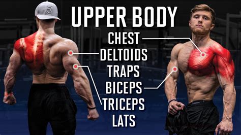 The Best Full Upper Body Workout For Max Muscle Growth Science Applied Weightblink