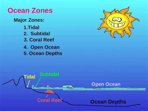 Ppt Ocean Zones Major Zones Tidal Subtidal Coral Reef Open Ocean