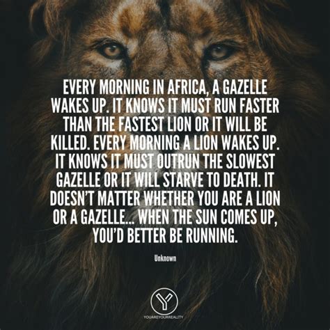 15 Wake Up Early Quotes To Make You Jump Out Of Bed You Are Your Reality