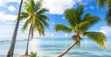 Nature Landscape French Polynesia Summer Beach Dock Palm Trees Sea Tropical Bora Bora