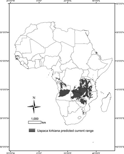 Current Distribution Of African Wild Loquat Uapaca Kirkiana Müll
