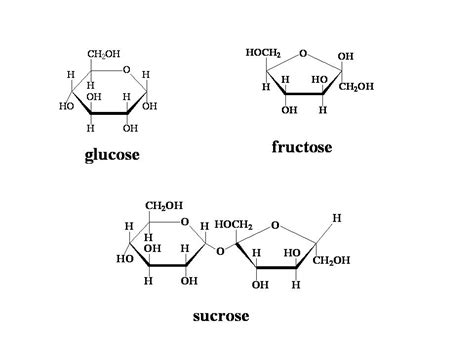 Simple Sugars Fructose Glucose And Sucrose Lab Cat